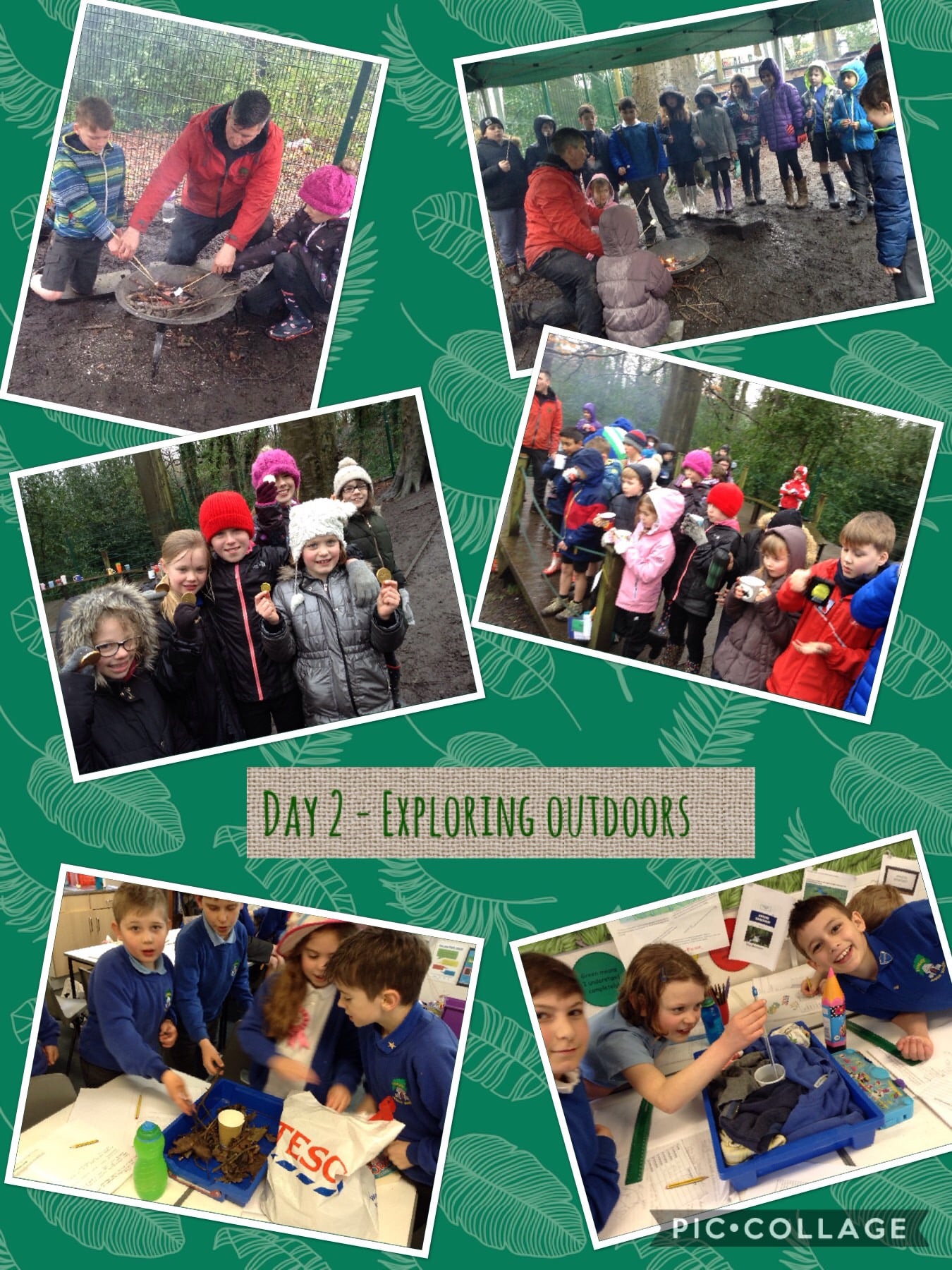 Science Week Day 2: science in the outdoors | Lydgate Junior School