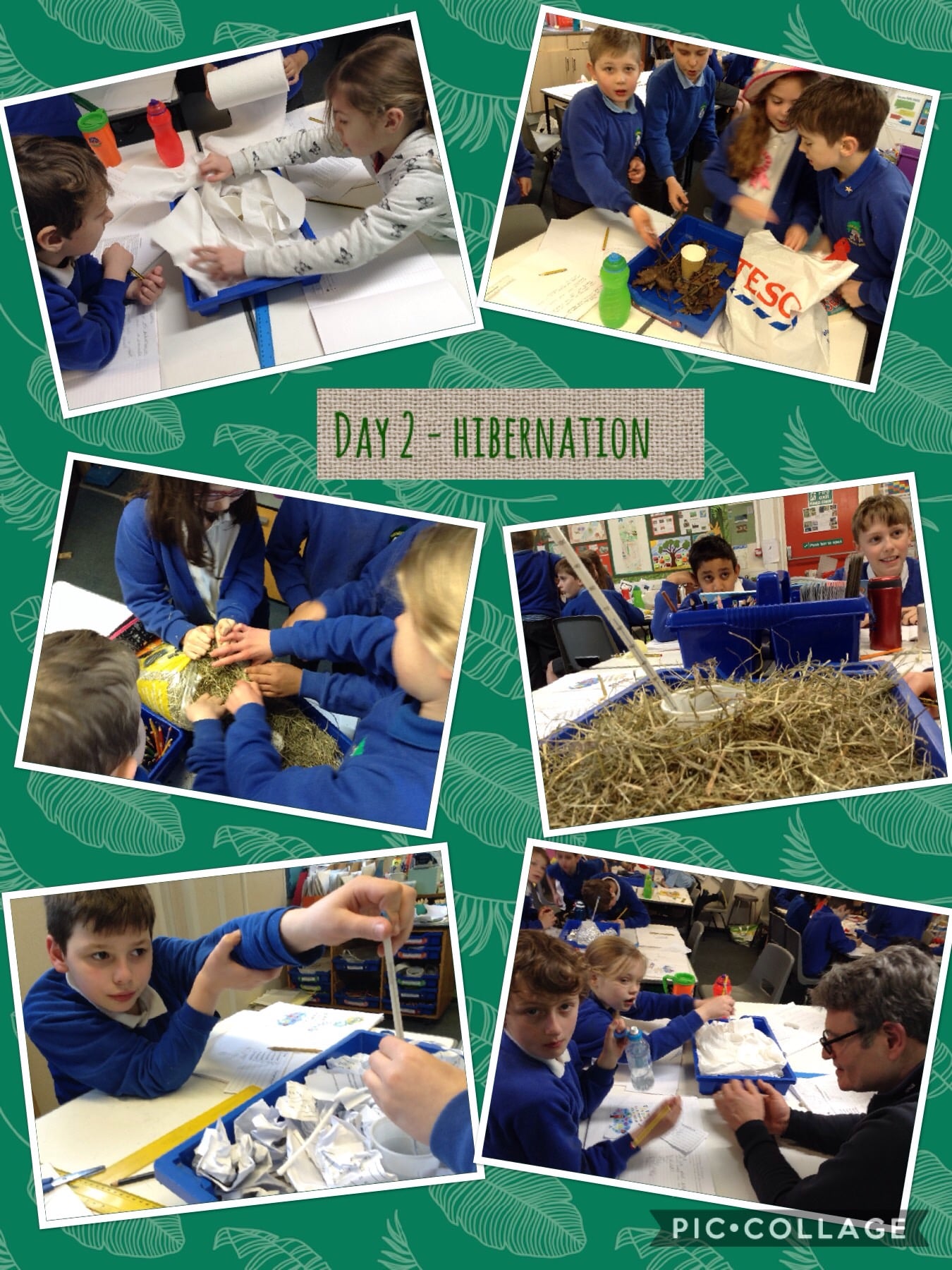Science Week Day 2: science in the outdoors | Lydgate Junior School